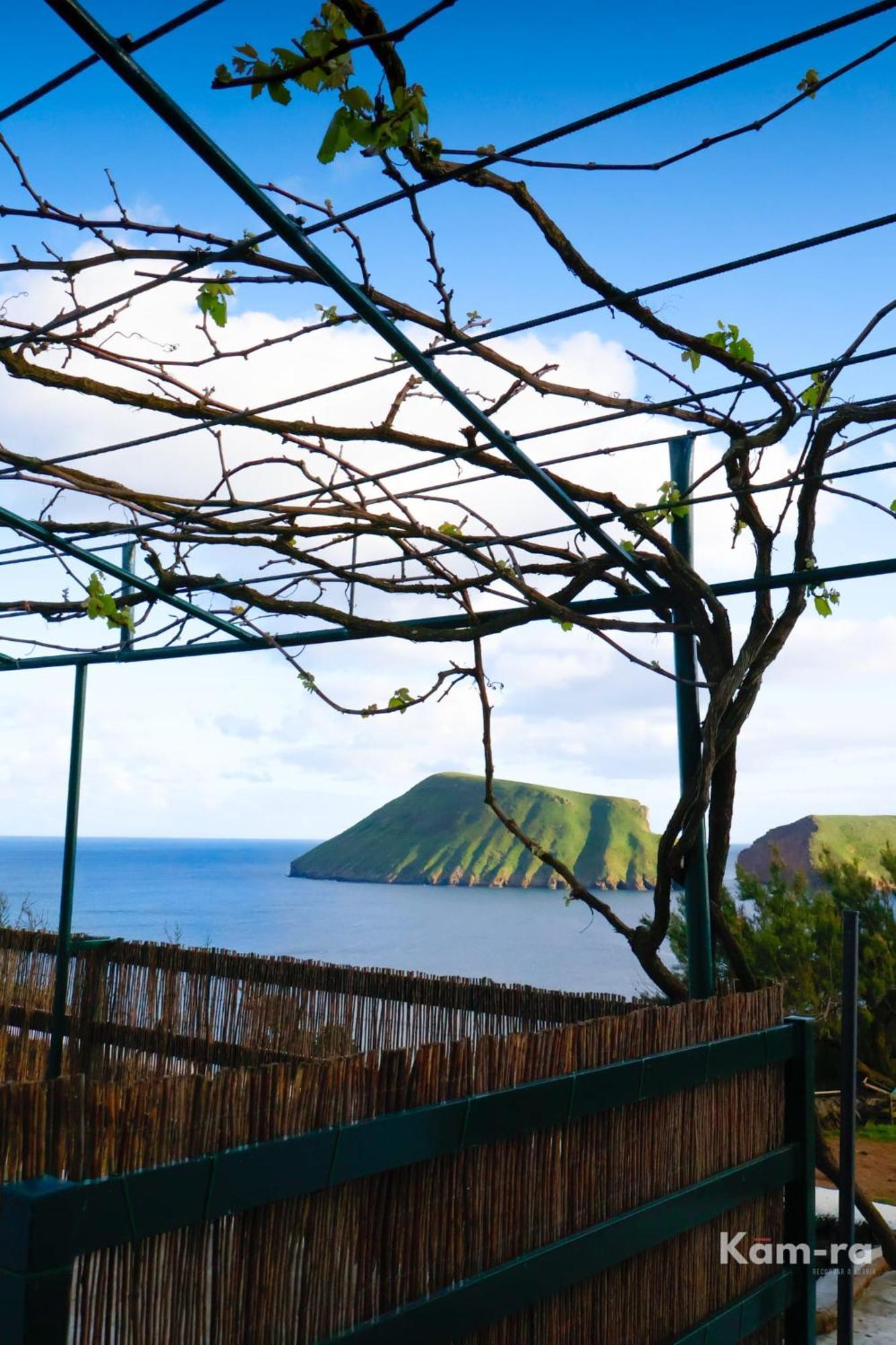 Villa Casa Da Avo Couta Angra do Heroísmo Exterior foto